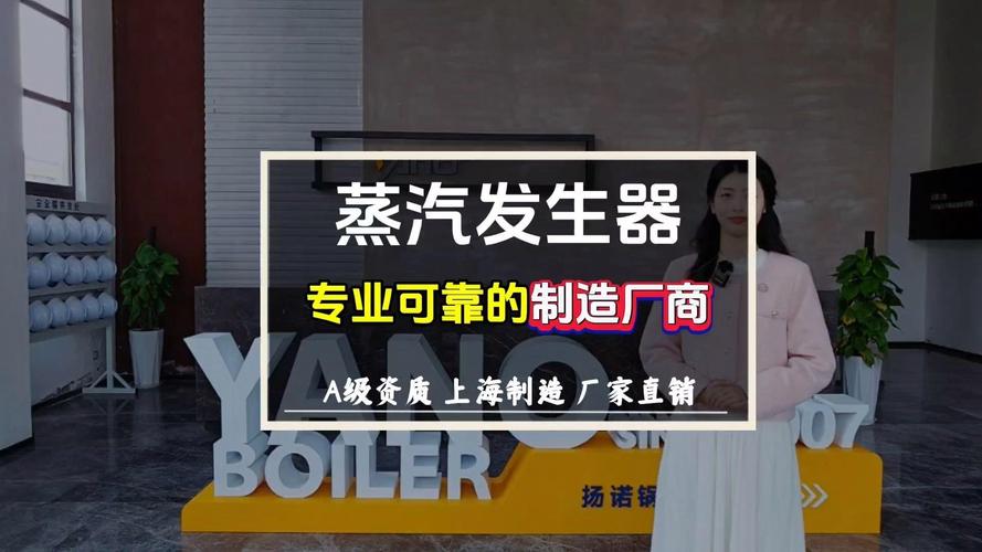 蒸汽发生器 医药、纺织、洗涤、化工等多行业的理想热源